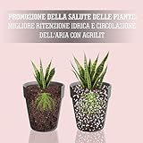 LERAVA B0CT5S3S1N lato 4