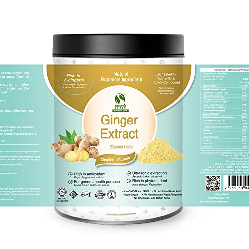 5X Ginger Standardized Extract Powder 100G, Bionutricia Extract - Natural Asian Gourmet Standardized Fresh Beverage Or Bakery Ingredient, Boost Immune System #TOP2