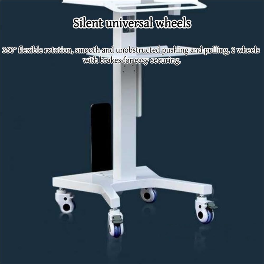 Modern Metal Rolling Medical Cart, 2 Layers Laptop Cart with Hollow Handle, Movable Lab Cart with Wheels, Professional Tool Cart for Dental Clinics or Beauty Salons