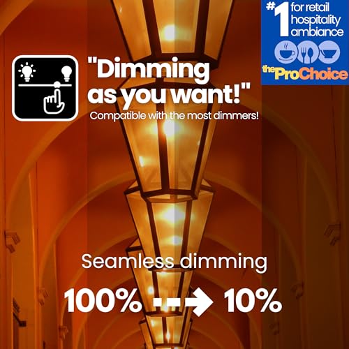 LafoHome TimelessGlow 4 Pack Dimmable A19 LED Filament Bulb 5W 40W Equivalent Warm Amber 2000K E26 Base CRI80 Amber Glass Spiral Filament ETL FCC Certified Flicker Free Decorative Lighting by LafoHome - Image 9