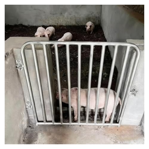 ؎ɂ̃Q[g ؎ɃhAK[h Ot 60cmA70cmA80cmA90cmA100cm bL| tB[hQ[g؎ɃhA Ƒoc̔_(W24xH30in/61x76cm)