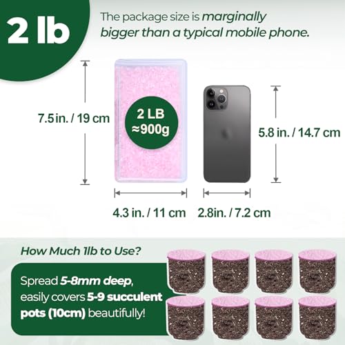 Image of T4U Tumbled Chips Stones Crushed Crystal Quartz 2 LB, Irregular Shaped Gravel Pebble Healing Stone, DIY Smoothed Rock for Potted Plant,Resin Art,Vase Fillers Aquarium Gravel Rocks (Light Rose)