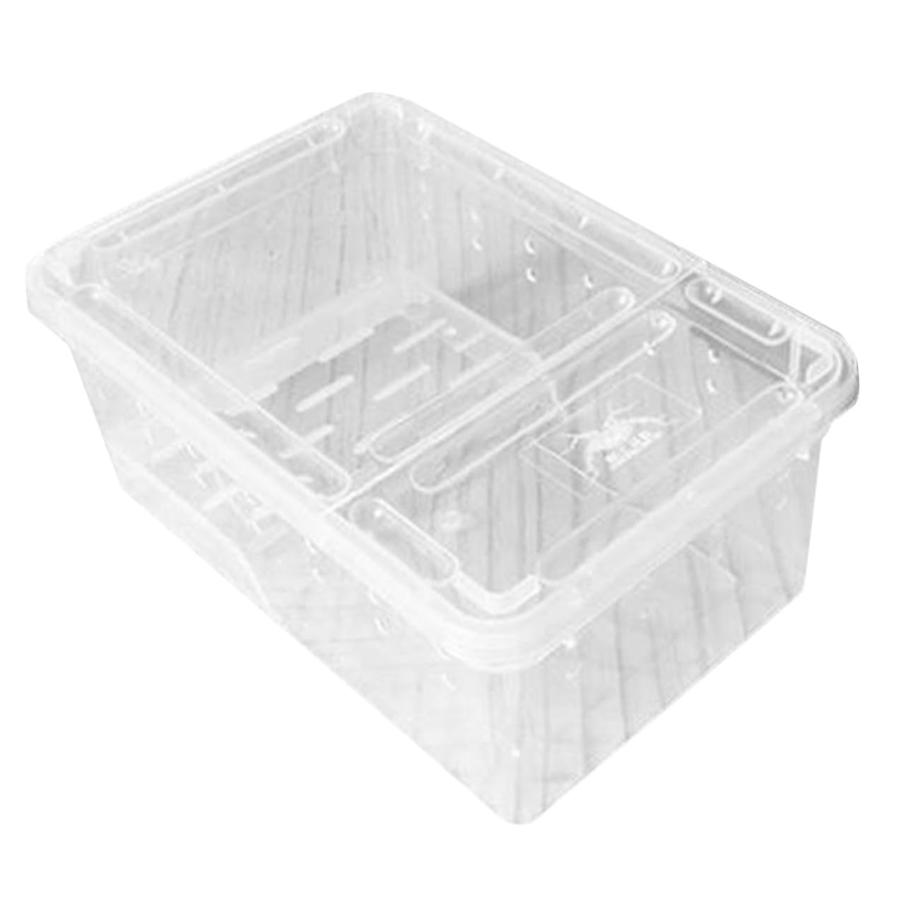 Lurrose Acquario con Piattaforma Galleggiante in Plastica Area Riposo e Alimentazione Facile Osservazione per Tartarughe Inclinazione Adatta per Rettili e Anfibi