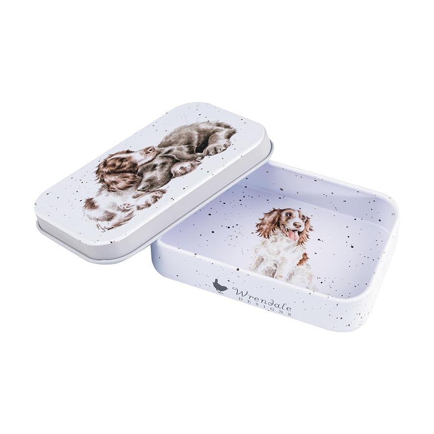 Wrendale Designs 'Growing Old Together' Spaniel und Labrador Miniaturdose, Hund, Metall, 9.5 cm x 6 cm x 2 cm, 114 ccm, Futtermittel für Haustiere, Box