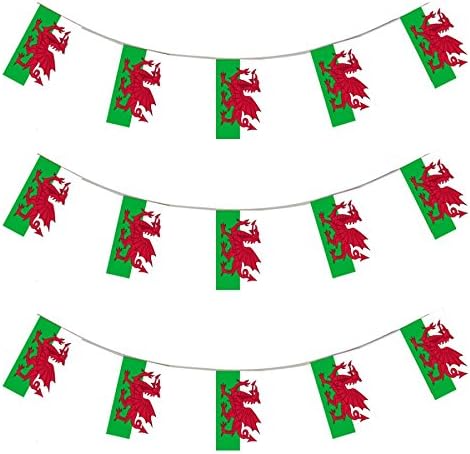 Wales Flag Welsh String Flags Banner 33ft Decoration
