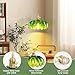 Beser·Win Plug in Pendant Light, Hanging Lights with Plug in Cord, Hanging Light Fixture with Green Glass, E26 Pendant Lighting for Kitchen Island, Bedroom, Dining Room, Living Room