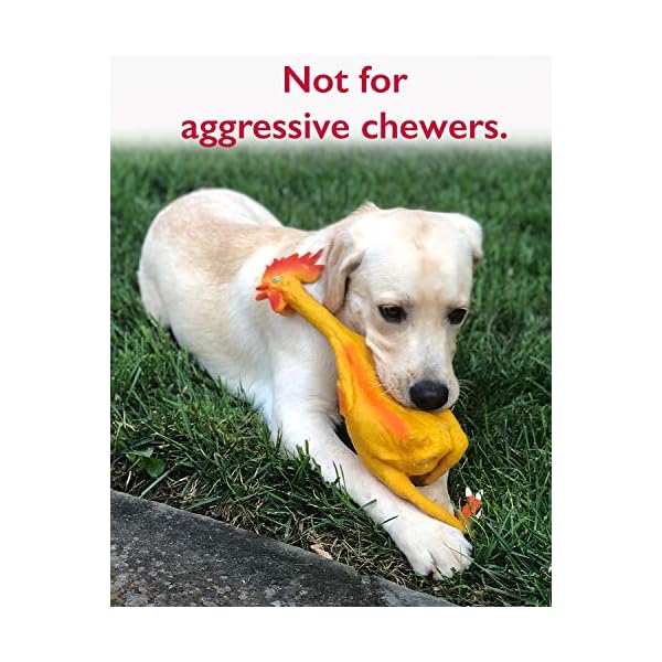 Rubber-Chicken-Dog-Toys-Natural-Rubber-Latex-Lead-Free-Chemical-Free-Complies-with-Same-Safety-Standards-as-Baby-Toys-Soft-Unstuffed-Squeaky-Extra-Large Extra-Large Rubber Chicken Dog Toy: Unleash the Fun!