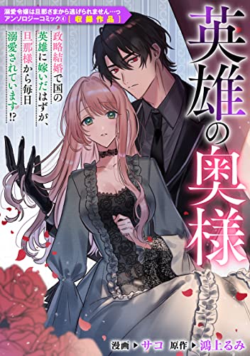 英雄の奥様 (ZERO-SUMコミックス)