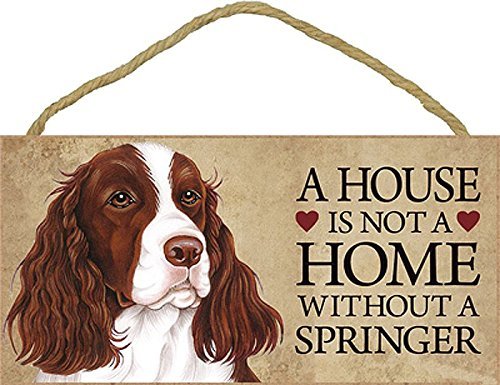 A House Is Not A Home Without A Springer Spaniel - 5