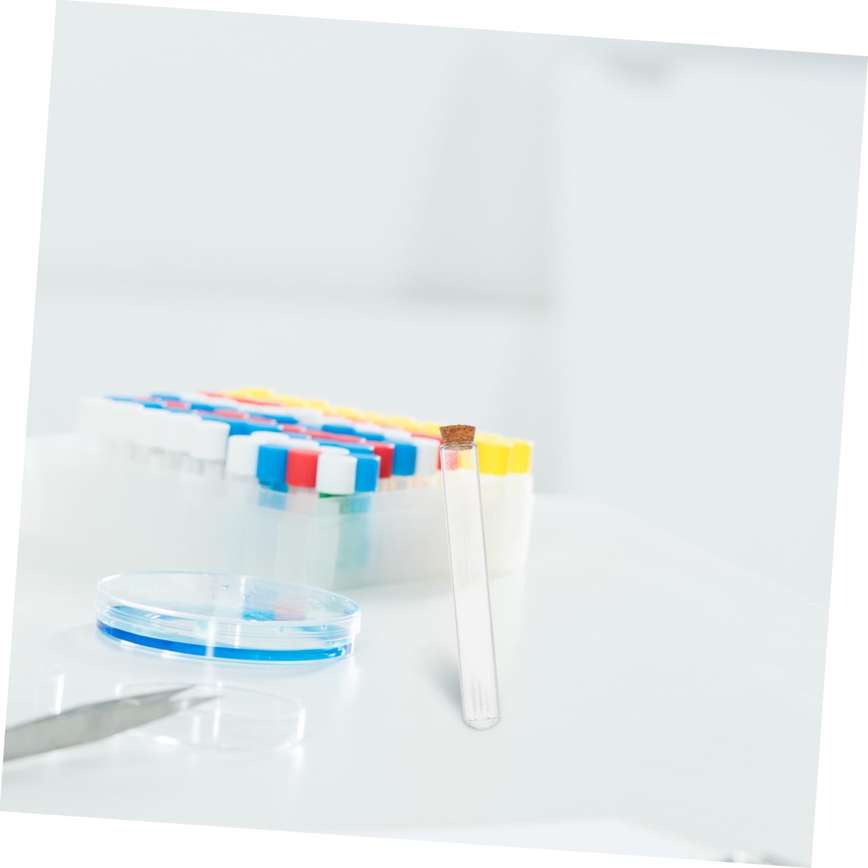 Provette in Da Laboratorio Da 20 Ml Con in Sughero 20 Pezzi Per Esperimenti Scientifici Sulla Propagazione Delle Piante