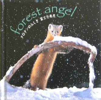 クロテンのふしぎ (minibookseries)