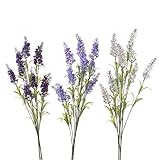 ramo lavanda seca comprar El set de ramos artificiales está formado por 3 ramos de diferentes tonalidades de lavanda, no necesitan cuidados y ofrecen un aspecto completamente realista a su análoga natural.