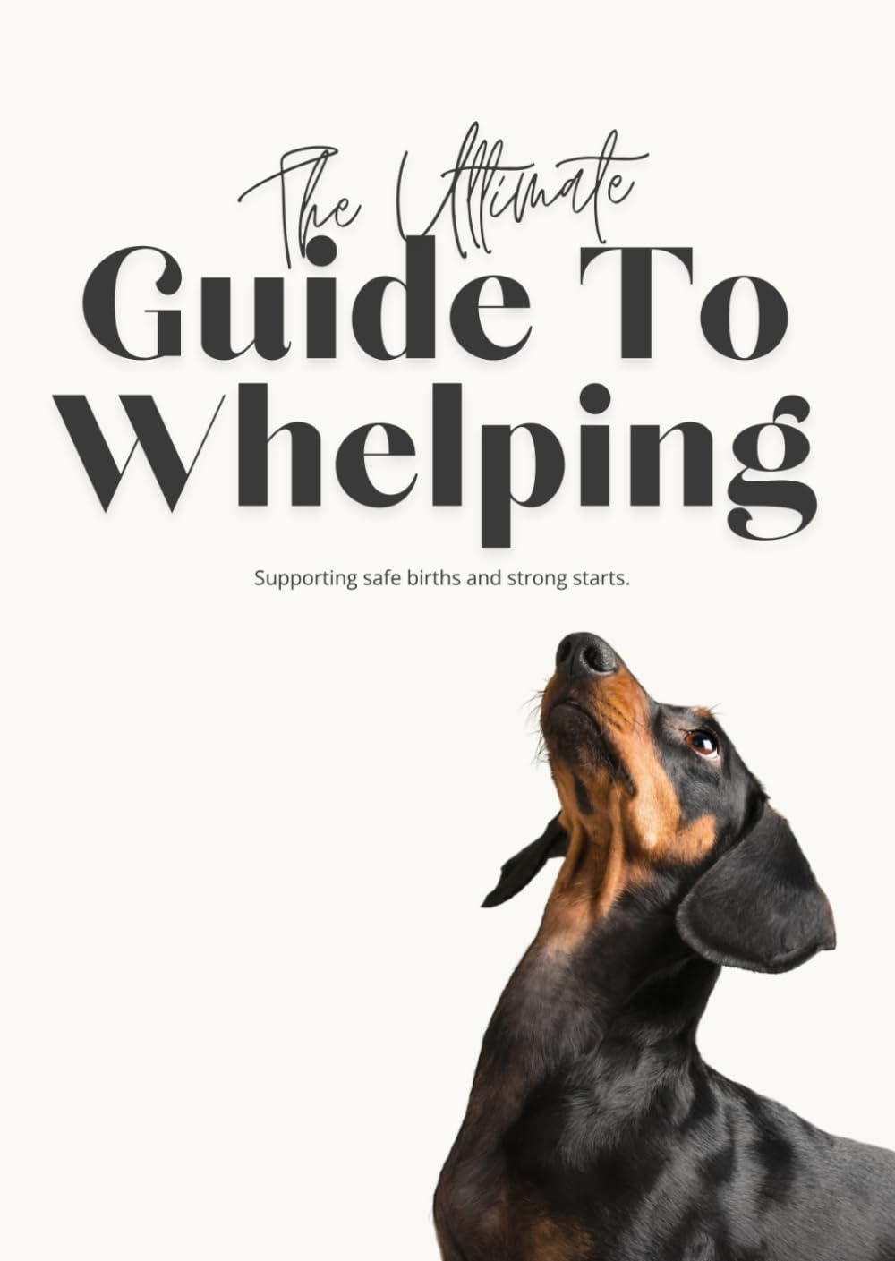 The Ultimate Guide To Whelping: Supporting safe births and strong starts.