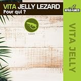 Reptiles Planet Vita Jelly Mix, lot de 10 pour lézards photo 3