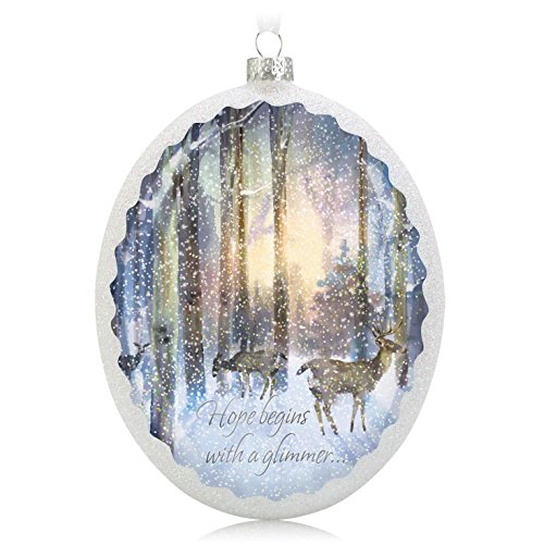 Hallmark Keepsake Ornament Hope Shines Bright 2014