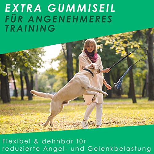 ANISKILLS® - Premium Reizangel - Set für Hunde und Katzen, für alle Größen geeignet - teleskopisch, Profiausrüstung - inkl. flexiblem Gummiseil und robustem Nylonseil - deutsches Unternehmen