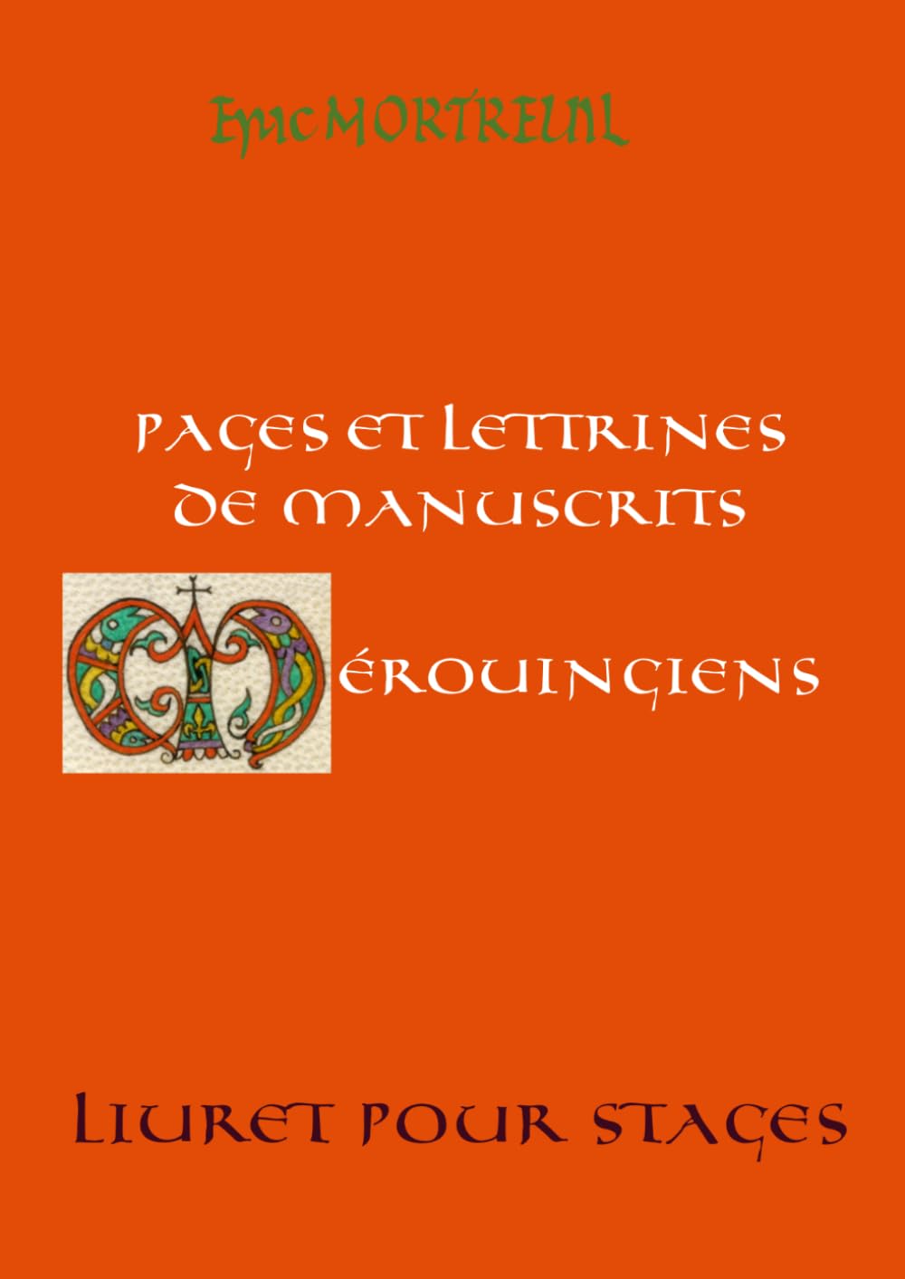 Manuscrits mérovingiens livret de stage calligraphie médiévale art