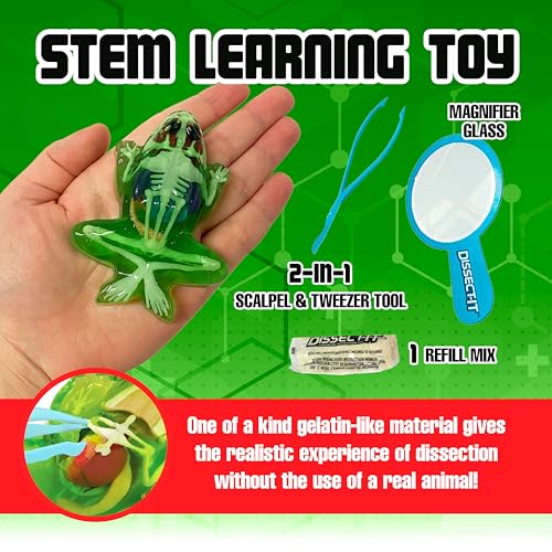 Image of Top Secret Toys Dissect-It Mini Labs Frog Dissection Kit for Kids, Realistic Synthetic Kids Science Kit - On, Biology and Animal Anatomy, STEM Toy, Ages 6+