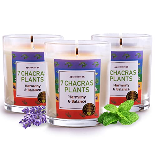 Magnificent 101 7 Chakras Plants Set Of 3 Candles #TOP29