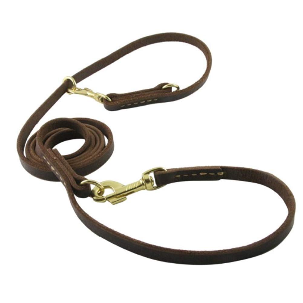 Correa para adiestramiento de perros Correa para adiestramiento Correas largas para adiestramiento de perros Correa acolchada para perros Correa azul para perros Correa para perros con doble asa