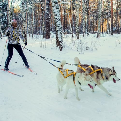 AYWTIUN Schlittenhundegeschirr Hundeschlittengeschirr Haustiergewicht Ziehen Schlittengeschirr Mushing X-Back Geschirr for große Hunde Husky Canicross Skijöring Scootering(Red,M)