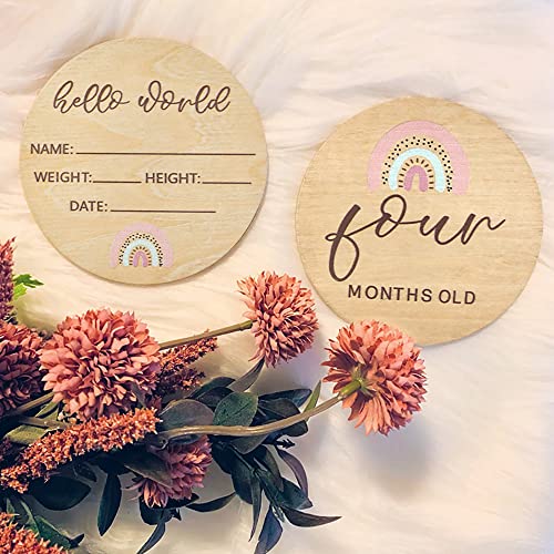 Image of 14 Pieces Wooden Newborn Baby Announcement Sign Wood Baby Milestone Gift Cards Hello World Newborn Baby Name Signs Baby Shower Birth Announcement Sign
