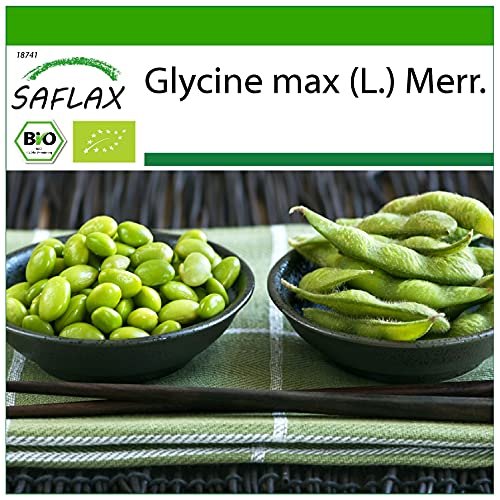SAFLAX - BIO - Bohne - Edamame - 8 Samen - Mit keimfreiem Anzuchtsubstrat - Glycine