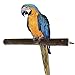 Natural Wood Bird Perches for Medium to Large Parrots Macaw African Greys Budgies Parakeets Cockatiels Conures Amazons Hamster Rat Bird Cage Accessories Perch Stand (Apple Branches)