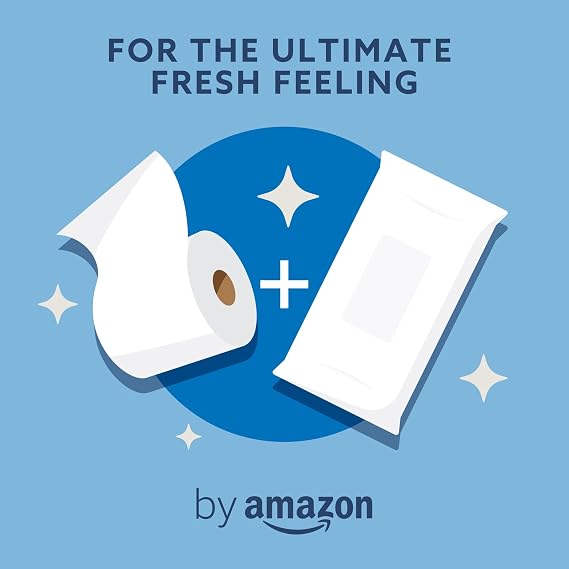 by Amazon Gentle Moist Toilet Tissues, Unscented, Fine to Flush, 240 Count (6 Packs of 40)