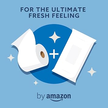 by Amazon Gentle Moist Toilet Tissues, Unscented, Fine to Flush, 240 Count (6 Packs of 40)