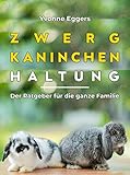  Zwergkaninchen Haltung: Der Ratgeber für die ganze Familie