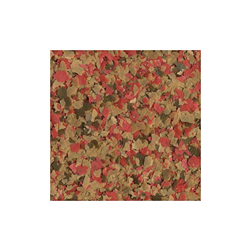 Tetra Goldfish Flakes 2.2 Pound Bucket, Nutritionally Balanced Diet For Aquarium Fish & 16485 Koi Vibrance Sticks Fish Food, 2.42 Pound #TOP3