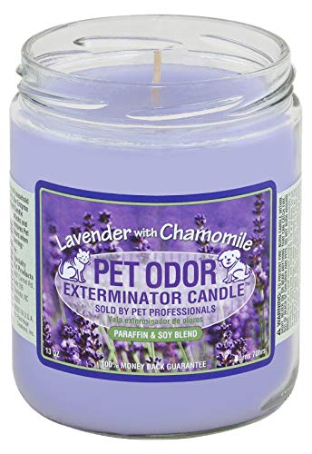 0 Pet Odor Exterminator Candle Lavender With Chamomile #TOP1