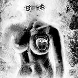  Spasmo (the X-Ray Version) [Vinyl LP]