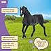 Schleich Horse Club - Rabicano Arabian Stallion Figurine - Pony Figures for Girls and Boys - Toys for Kids Ages 5+