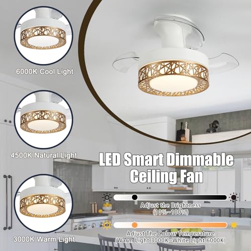Ventilateur de plafond rétractable LED CC avec télécommande à 6 vitesses pour petite chambre - 3
