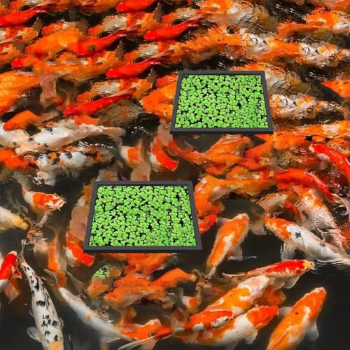 Image of Apausvcm 5 Pcs Fish Feeding Rings Set, Floating Aquarium Plant Corral 5 Sizes Square Fish Feeding Rings Fish Tank Aquarium Accessories for Bettas Goldfish Turtle (Black)