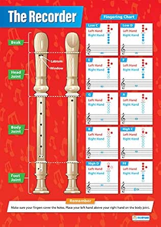 Daydream Education Recorder Music Poster - Extra Large 33x23.5 Inch Laminated Classroom Chart