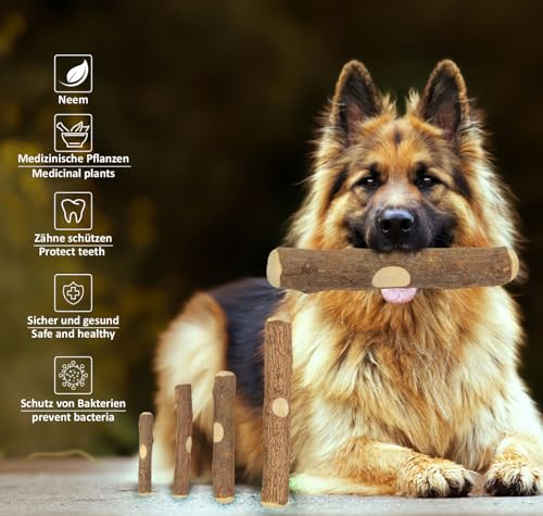 Natürlicher Kauknochen aus Neemholz für Welpen XS | Sicheres & Zahnpflegendes Kauspielzeug | Langanhaltender Kauspaß & Beschäftigung | Kaustab aus Neem Holz für Welpen & Kleine Hunde (S)