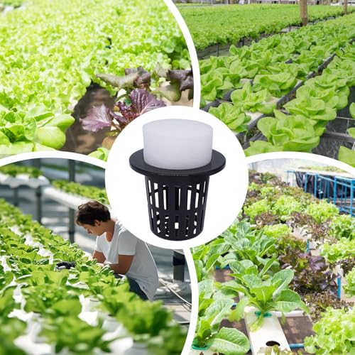 Macetas hidropónicas solucionan la falta de espacio cultivando sin tierra 6