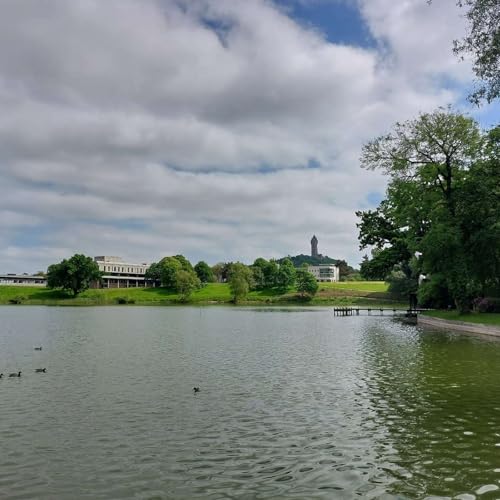 Fiona Clason: Mary Martin at the University of Stirling art collection