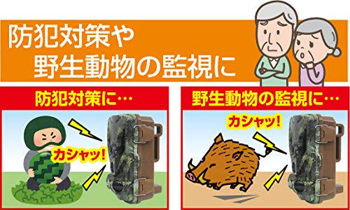 Amazon.co.jp: 見張り番カメラ 防犯くん BK-1 : DIY・工具・ガーデン