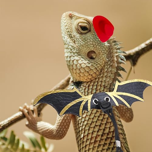 Image of 7 Pieces Bearded Dragon Tank Accessories,Bearded Dragon Leashes and Harnesses Set,S /M /L 3 Size Pack Leather Wing Lizard Harness with Removable Lizard Leash for Amphibians and Other Small Pet Animals