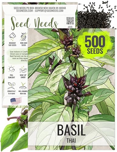Seed Needs Thai Basil Seeds to Plant Heirloom Culinary Herbs 1 Pack