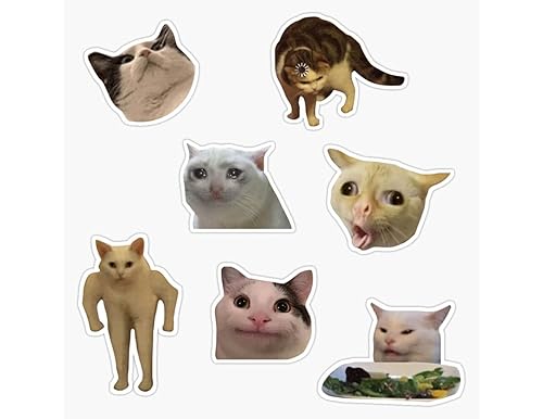 Best Bumper Magnets for Cars: Top 10 Options for Expressing Yourself