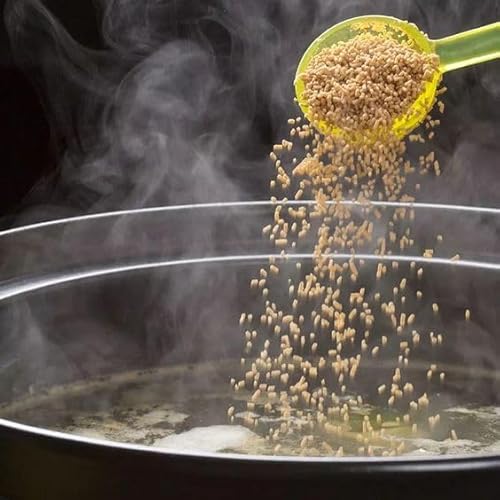 Umami Dashi Pulver 100g - Traditionelles Japanisches Rezept mit Katsuobushi - Ideal für Brühe & Dashinomoto - Authentisch & Schmackhaft - Perfekt für Japanische Küche & Suppen