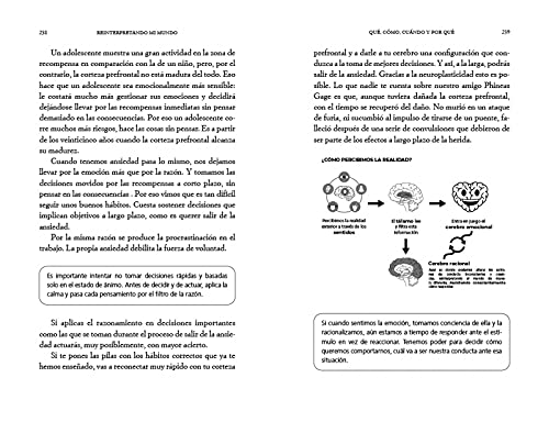 El Cerebro de la Gente Feliz / The Brain of Happy People: Supera La Ansiedad Con La Ayuda De La Neur
