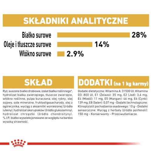 Bassotto Dachshund - 7,50KG - 7