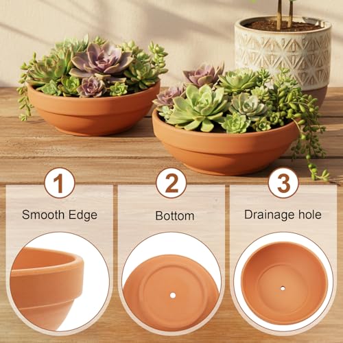 Laergin Terra Cotta Pots, 6.43 Inch Shallow Terracotta Clay Pots with Drain Hole Terra Cotta Plant Pot with Drainage Hole for Indoor/Outdoor Plants, 6 Pack by Laerjin - Used condition - Image 3