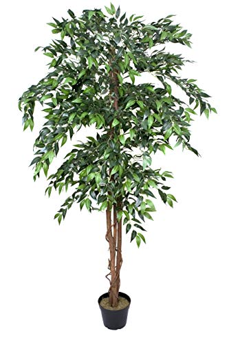 GreenBrokers Premium Artificial Ficus Weeping Fig Tree 180cm Potted Plant, green